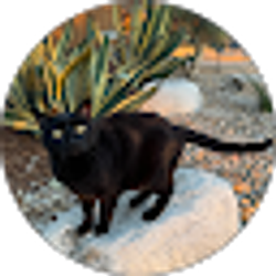 Profile photo of C Grennan