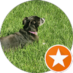 Profile photo of Laurie S