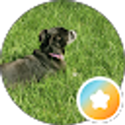 Profile photo of Laurie S