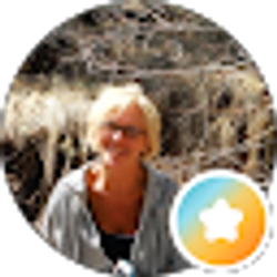 Profile photo of Maryann Palm