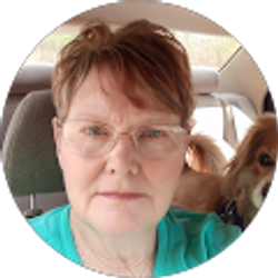 Profile photo of Lisa Gilpin