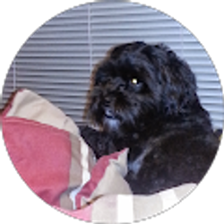 Profile photo of Marco Reyes