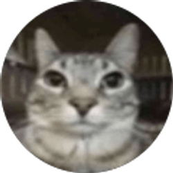 Profile photo of Alex Vo