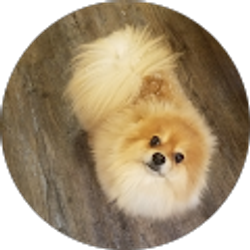 Profile photo of Kim Fait