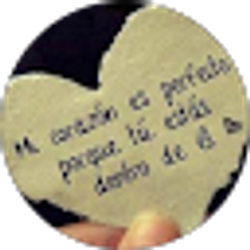 Profile photo of daphne morales