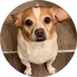 Profile photo of Julia Kung