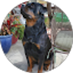 Profile photo of Annick Malotaux