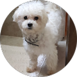 Profile photo of Lucy Tl