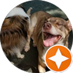 Profile photo of Steve K