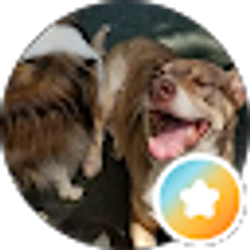 Profile photo of Steve K