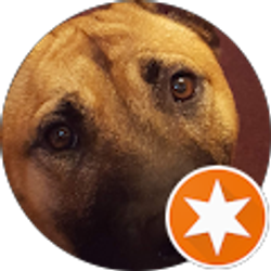 Profile photo of Hannelore h Srygley