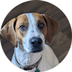 Profile photo of Michael Hastings