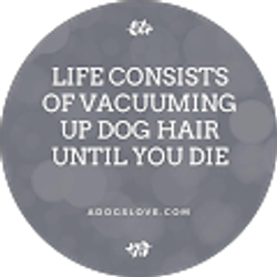 Profile photo of Anna Lara