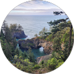 Profile photo of Suzanne Ward