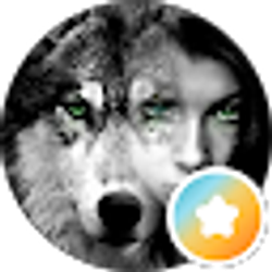 Profile photo of Ampi