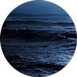 Profile photo of Dominic Monk