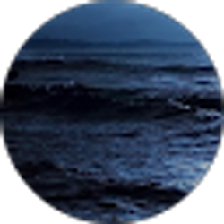 Profile photo of Dominic Monk