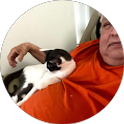 Profile photo of Michael Gomez