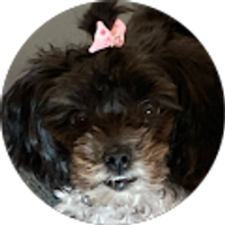 Profile photo of Kathy Schepers
