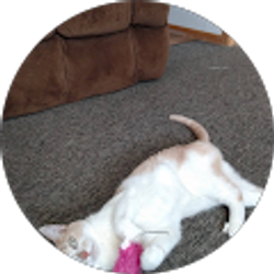 Profile photo of David