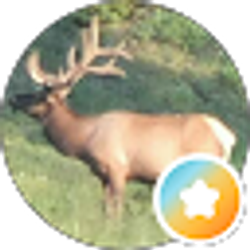 Profile photo of P Phil