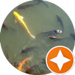 Profile photo of Ryan Umm