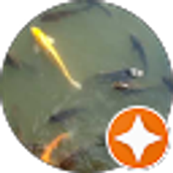 Profile photo of Ryan Umm