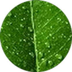 Profile photo of Gabriel Obando