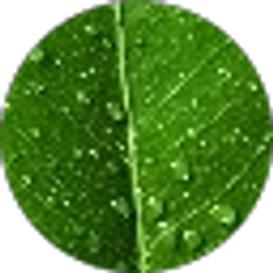 Profile photo of Gabriel Obando