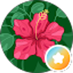 Profile photo of Deb