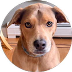 Profile photo of L Ausderan