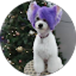 Profile photo of Nicole Holdeman