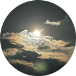 Profile photo of Shan Miao