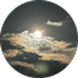 Profile photo of Shan Miao