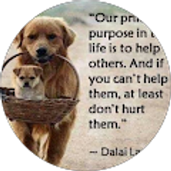 Profile photo of Becky Burrell