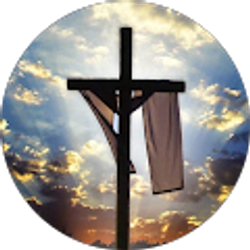 Profile photo of RoseMarie Cosper