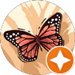 Profile photo of Bit Ram