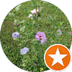 Profile photo of Peggy Long