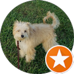 Profile photo of Lisa Burton