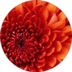 Profile photo of Lilli H
