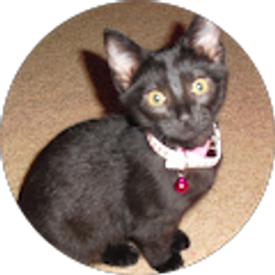 Profile photo of Lori T