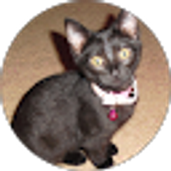 Profile photo of Lori T