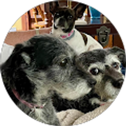 Profile photo of Nicole Halmos