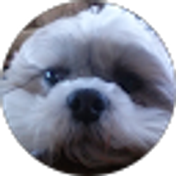 Profile photo of Kimberley Christy