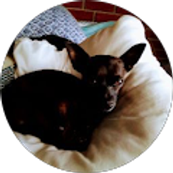 Profile photo of Darryl Bautista