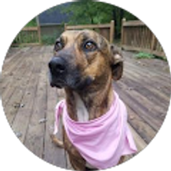 Profile photo of Jill Welborn