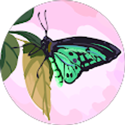 Profile photo of Hannah R