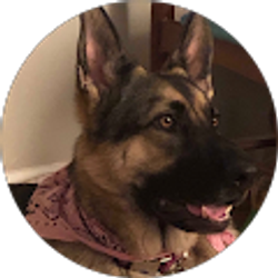 Profile photo of Paul Propst