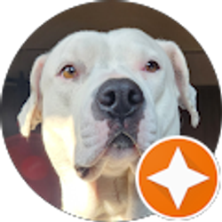 Profile photo of Allen Trahan