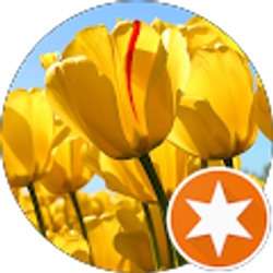 Profile photo of Chandra Brown